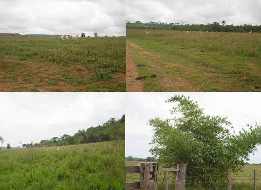 Área 7.300 hectares