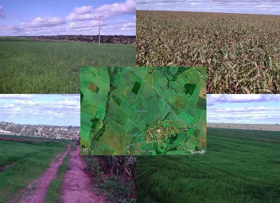 FAZENDA DE 192 ALQUEIRES