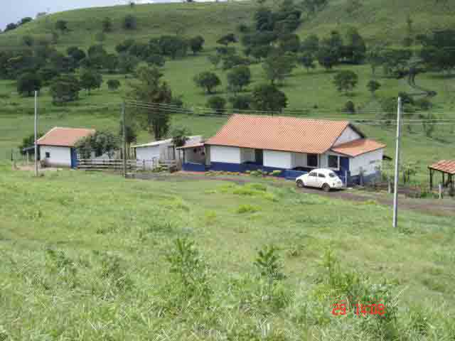 LINDA FAZENDA EM CORNÉLIO PROCÓPIO 145 ALQUEIRES