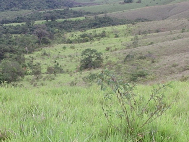 Fazenda Coqueiral