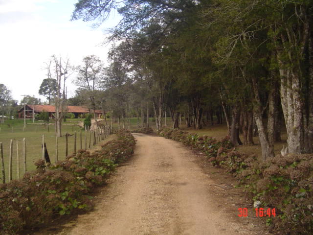 Vendo Chácara em São José dos Pinhais Pr