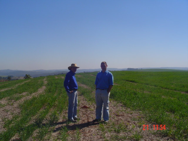 Fazenda em Tibagi PR