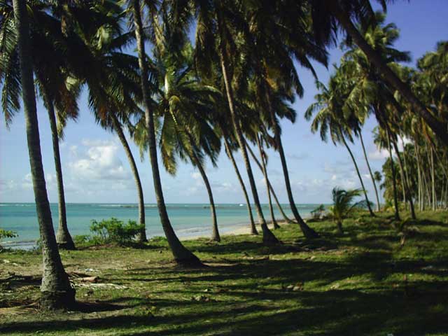 TERRENO A BEIRA MAR EM MACEIO ALAGOAS DE ALTO PADRÃO
